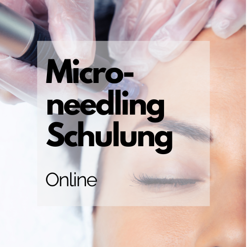 Microneedling Schulung - Online COMING SOON